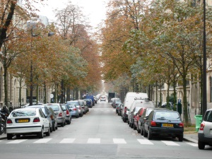 パリの市街地風景（並木と駐車車両）