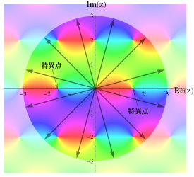 複素領域でのNDSolveの概念図(放射状)
