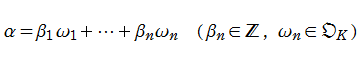 n次体の整数環の任意の元α