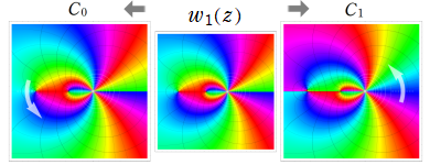第1種の基本解とその解析接続